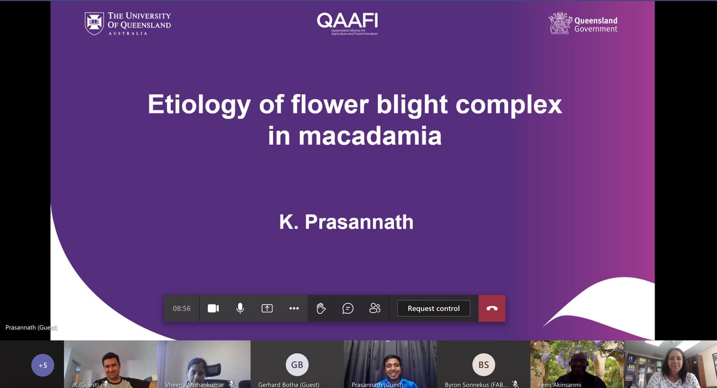 Researchers from FABI and UQ strengthen collaboration with regular online meetings