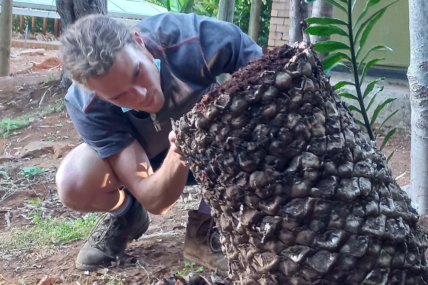 Assessment of plant health in the Cape botanical gardens