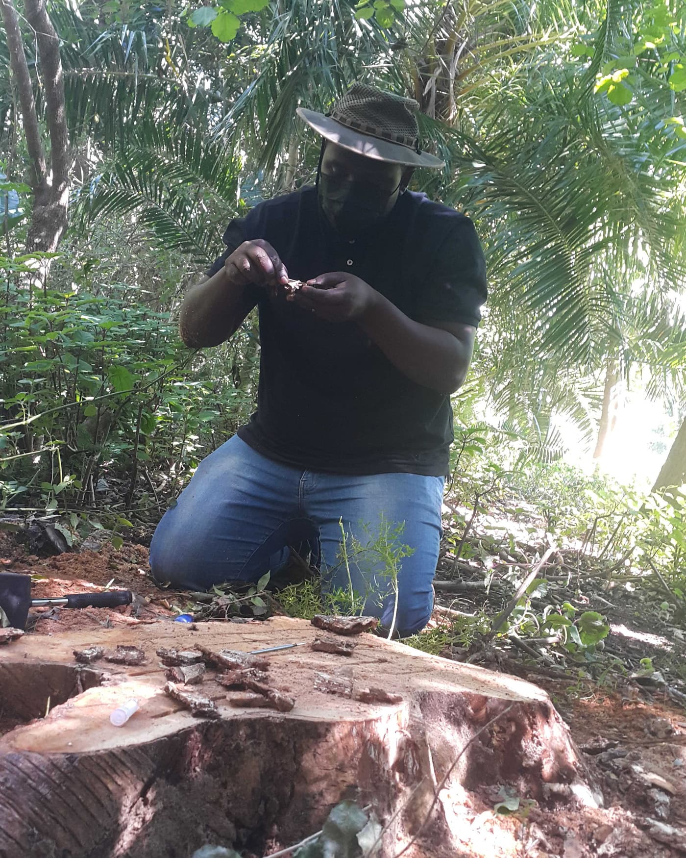 Assessment of plant health in the Cape botanical gardens
