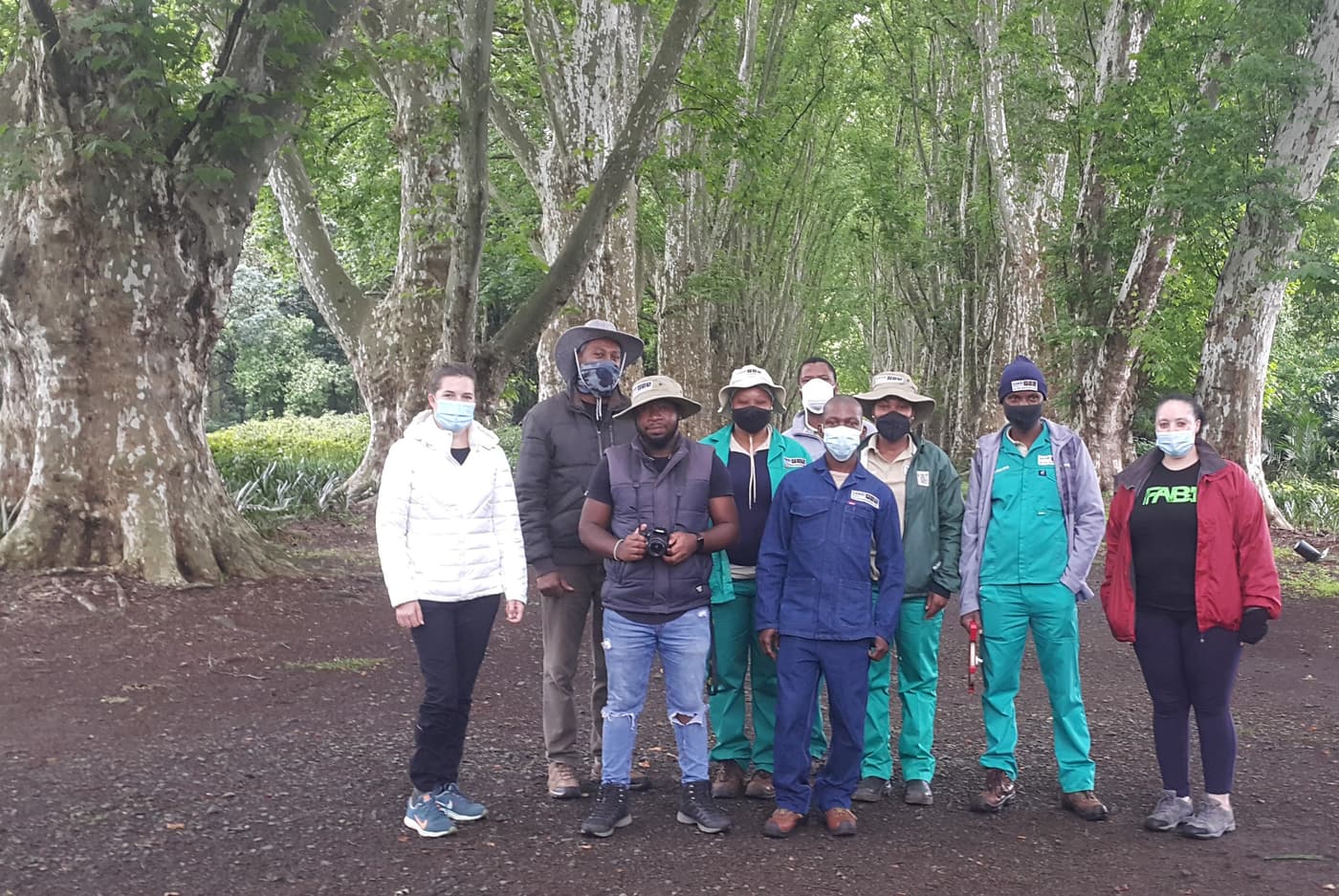 SANBI-funded Sentinel Plant Project establishes a PSHB monitoring system at the KZN National Botanical Garden