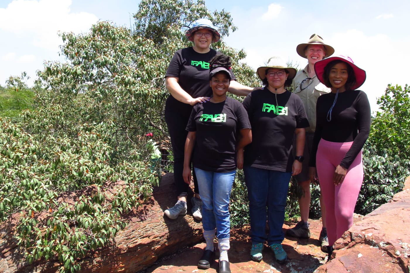 FABI researchers investigate <i>Protea</i> health problems in Pretoria