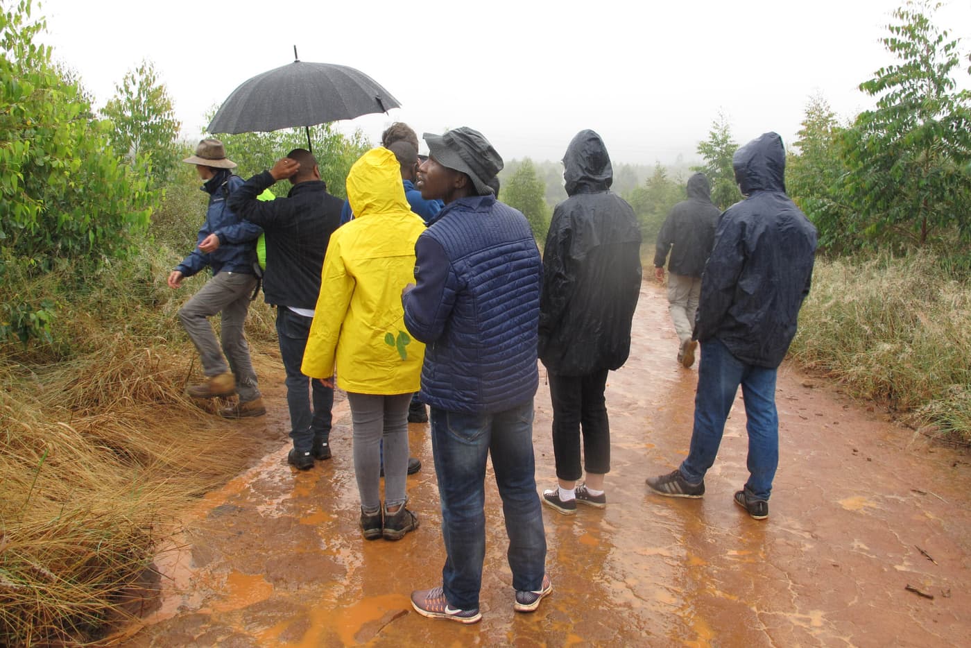 Combined TPCP diagnostic clinic and field extension trip