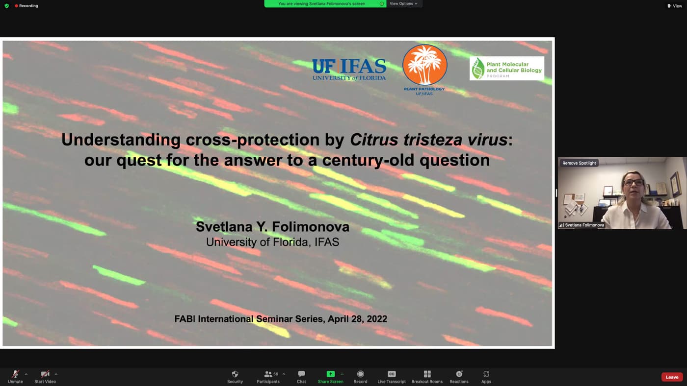 The most destructive citrus pathogen highlighted in the FABI International Seminar Series
