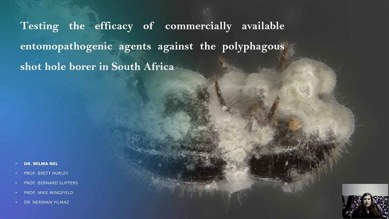 FABIans attend the International Congress on Invertebrate Pathology and Microbial Control