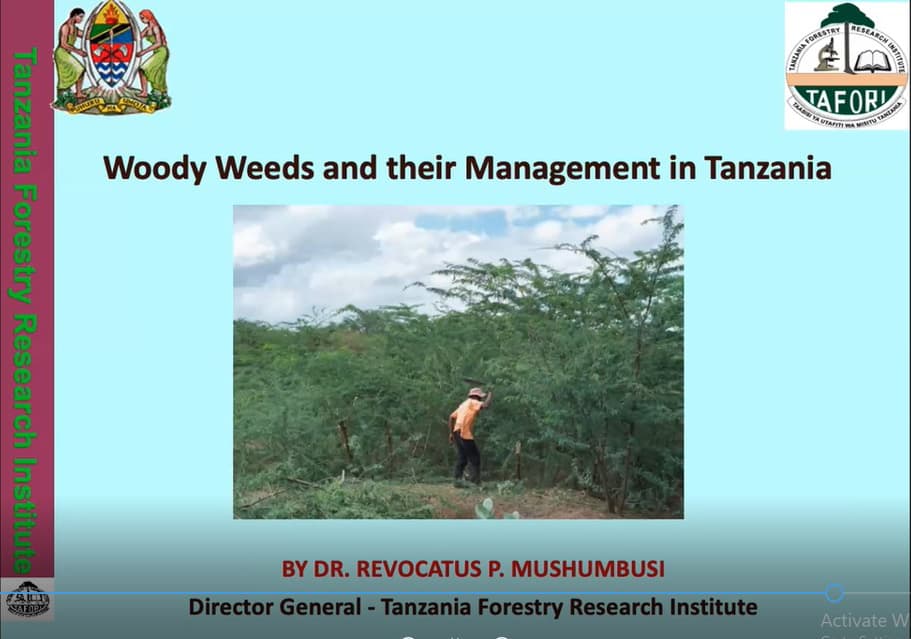 FABI co-hosts a webinar on forest invasive species in Africa