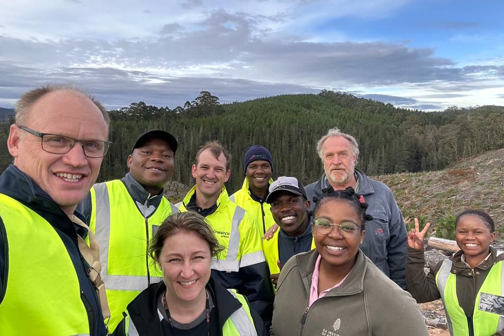 Moving from young eucalypts to young pine for the National Forest Pest and Pathogen Surveillance strategy