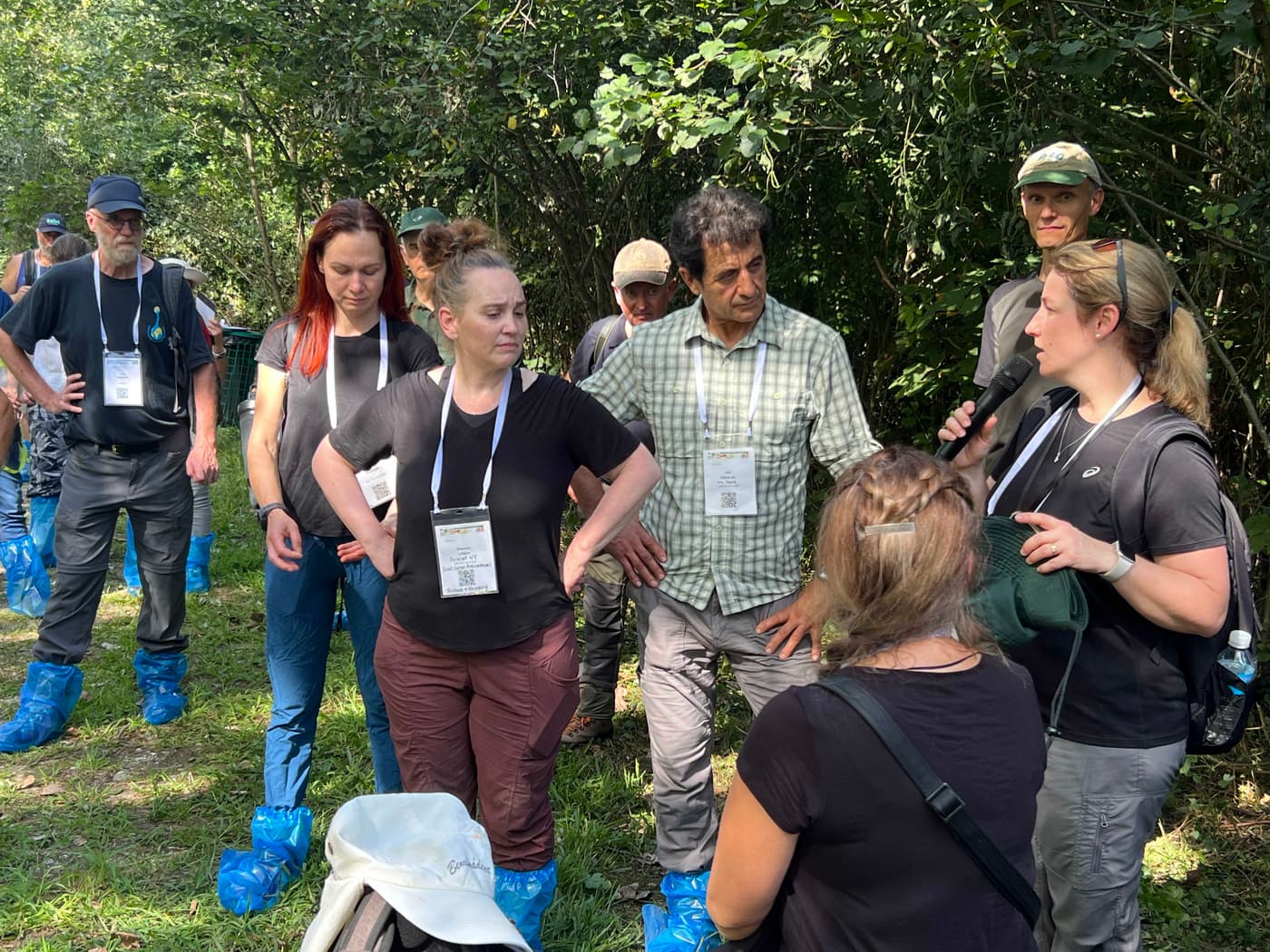 FABI team members participate in an important forest pathology event