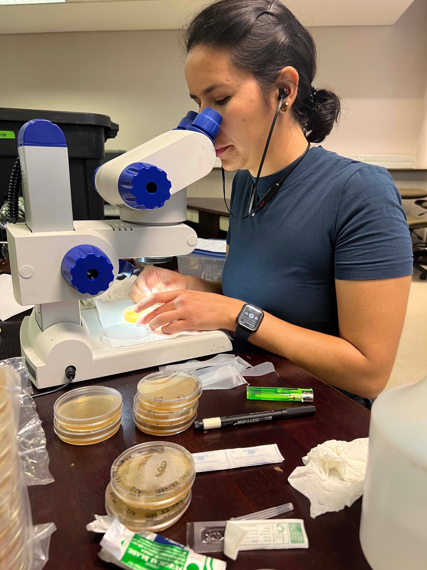 A fungal fiesta: Pine needle pathogen isolation jamboree