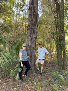 A sabbatical in the USA gets going