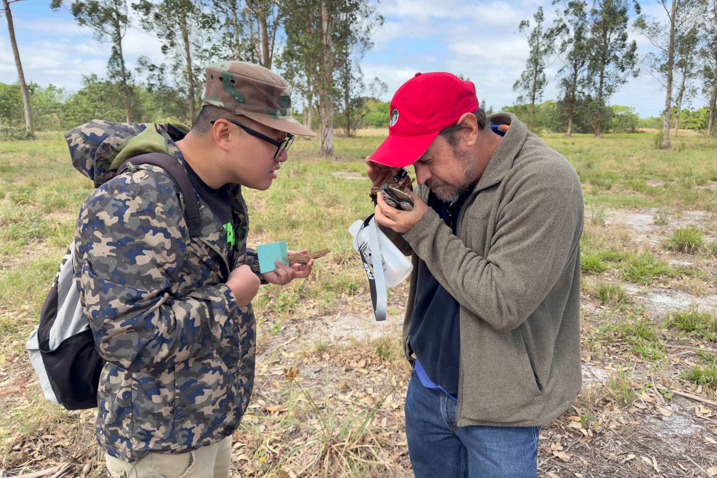 In search of Florida Cryphonectriaceae