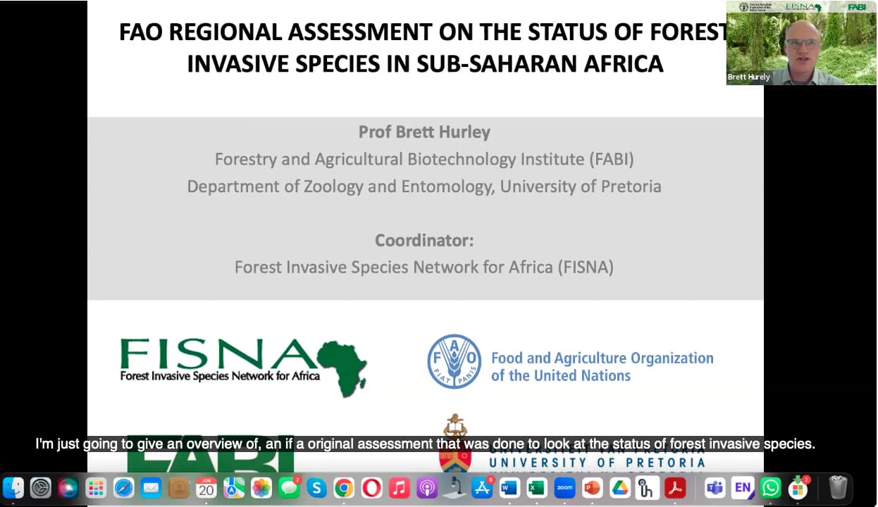 FABI and FAO co-host a webinar on invasive plants affecting Africa’s natural and planted forests