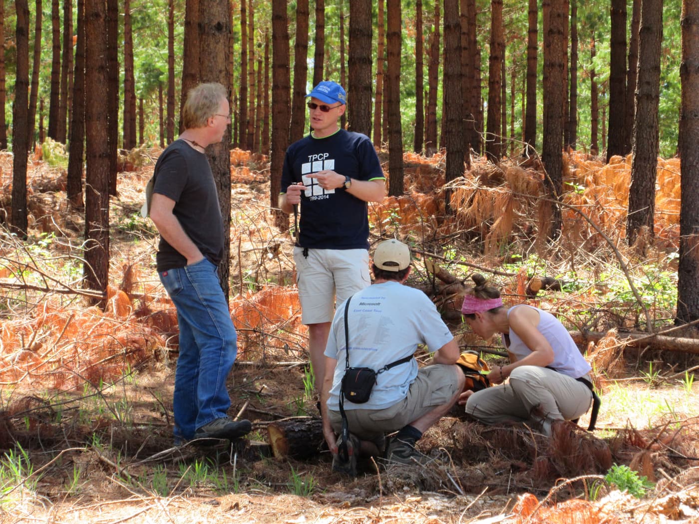 Sirex International Collaborative Project continues at Hogsback