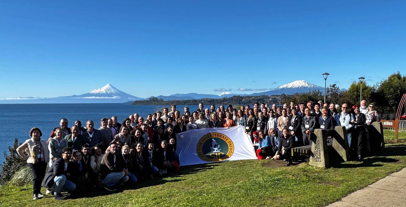 FABIan attends Invertebrate Pathology meeting in Chile