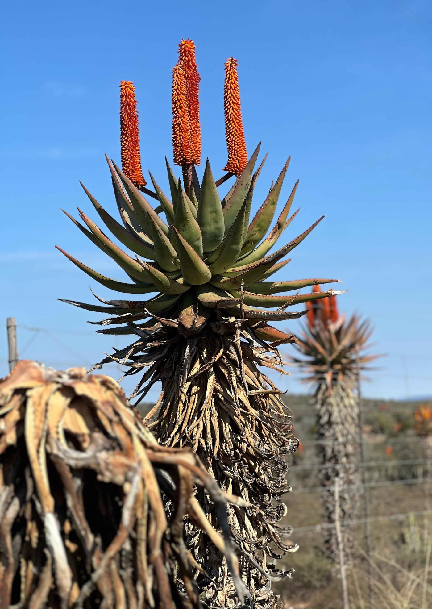 TPCP field extension visits the Eastern Cape