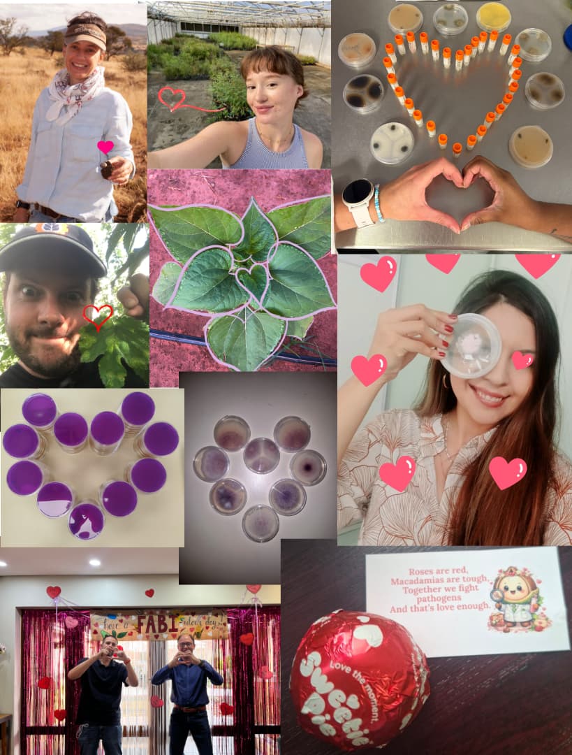 Love is in the air at FABI