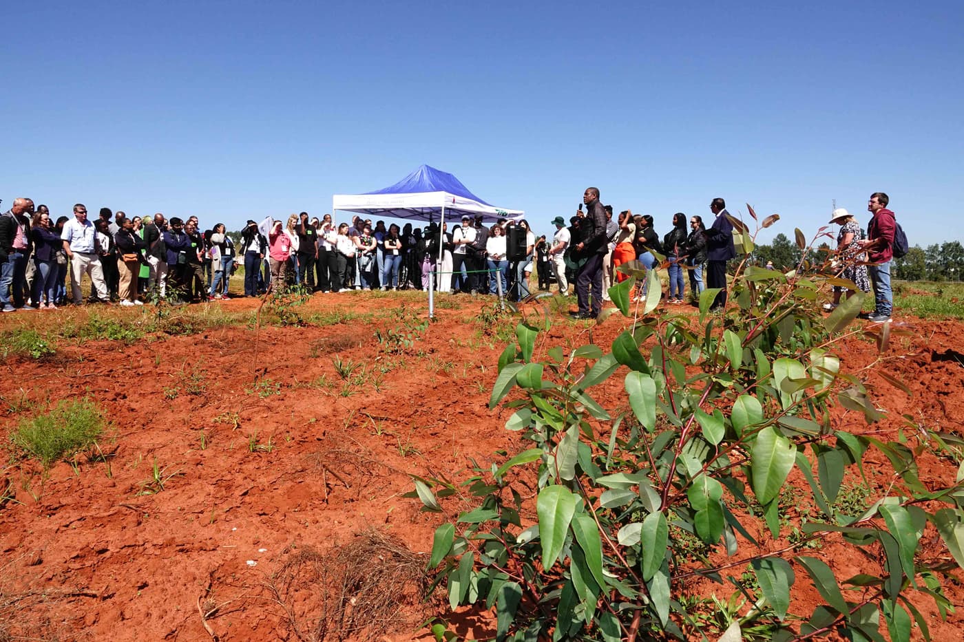 The FABI INSPIRE Open Air Laboratory officially opened