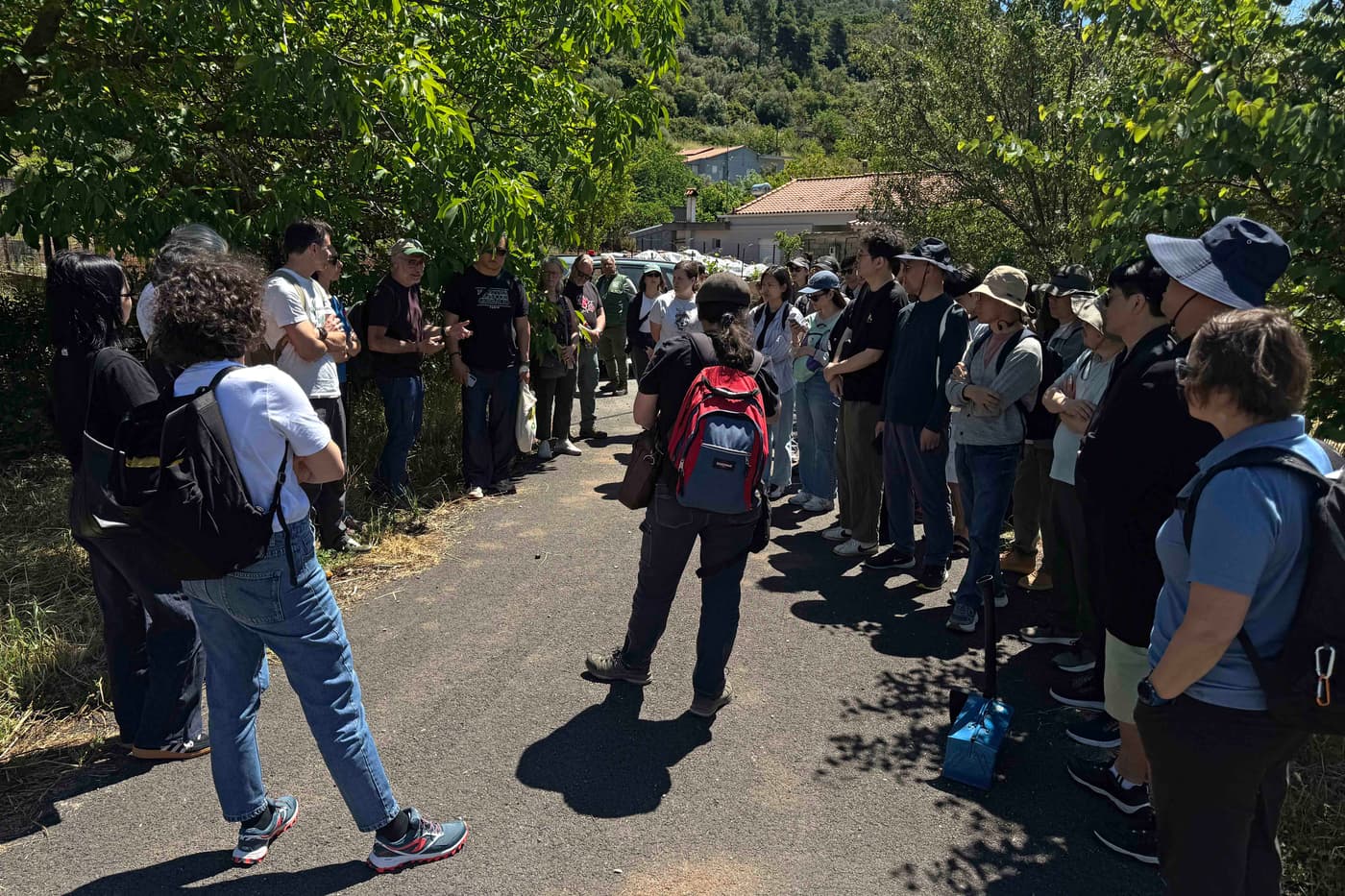 FABI researchers participate in the IUFRO Tree Wilt Disease Congress in Athens