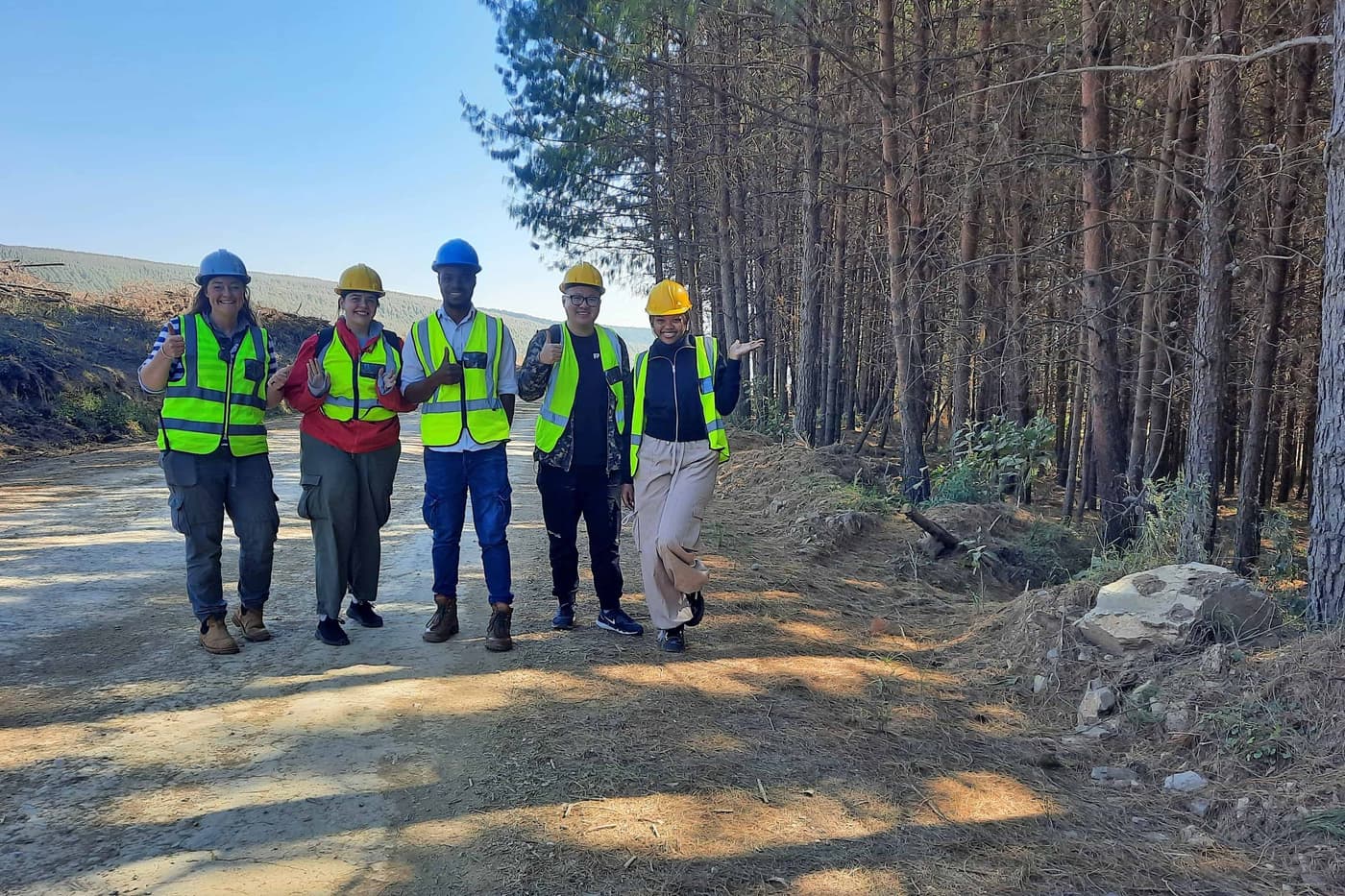 FABI researchers study fungi associated with pine bark beetles in South Africa
