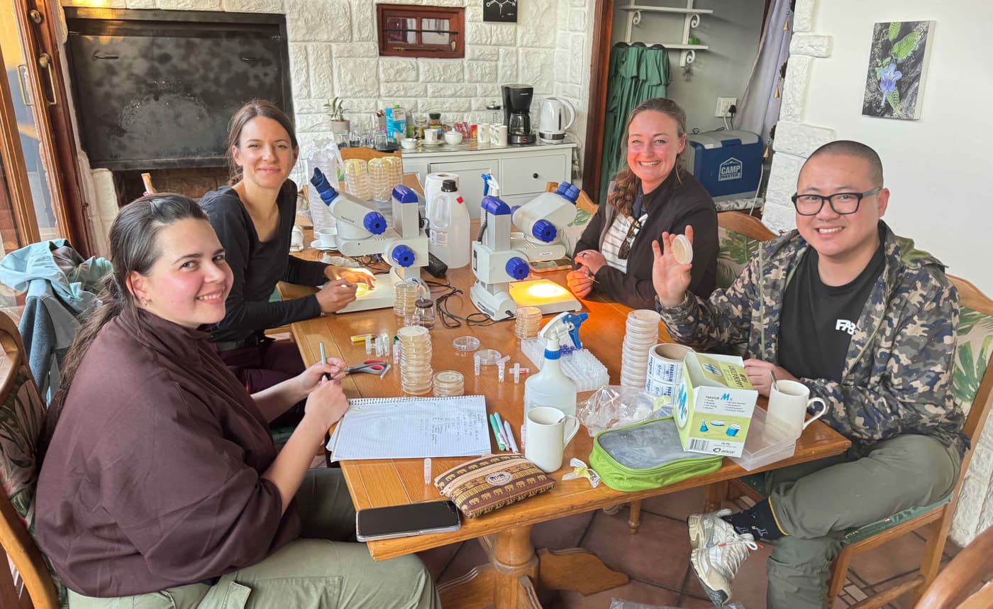 Fungi associated with South African pine-infesting bark beetles: The search continues
