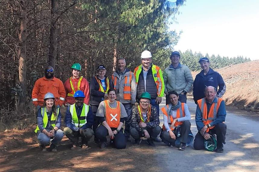 Fungi associated with South African pine-infesting bark beetles: The search continues
