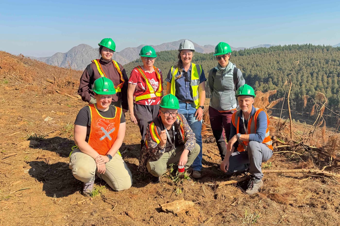 Fungi associated with South African pine-infesting bark beetles: The search continues