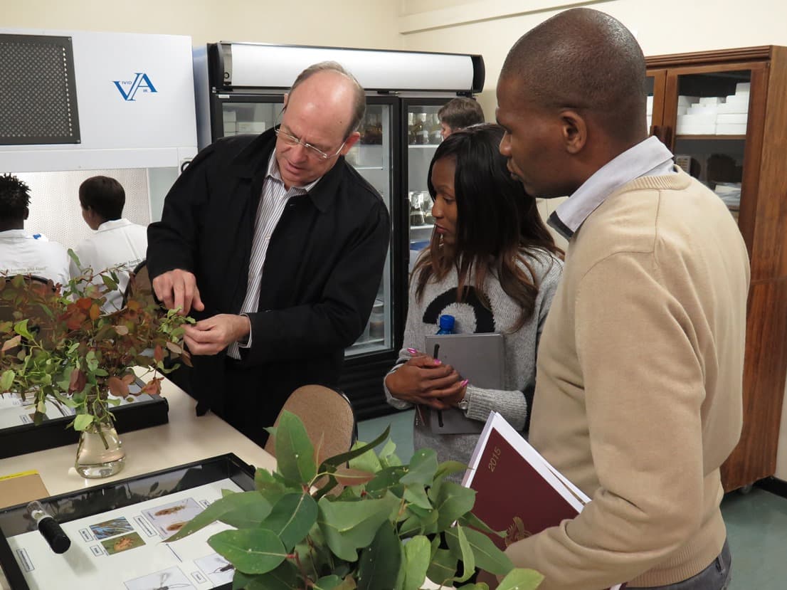 FABI welcomes DTI delegation