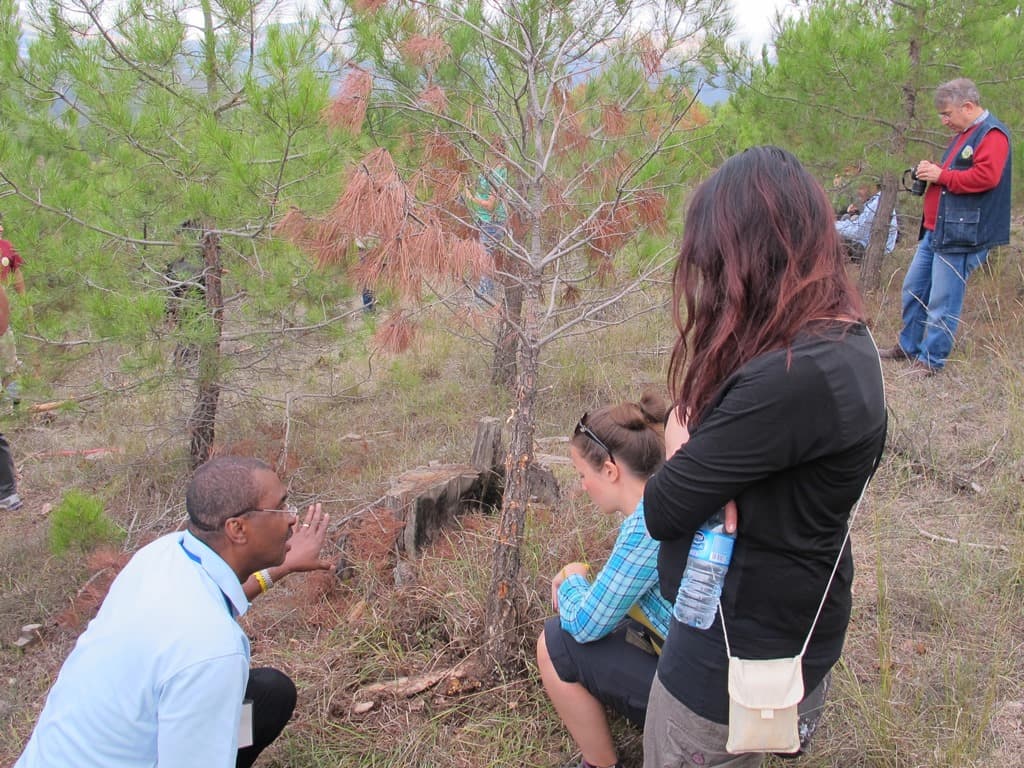 FABI represented at the IUFRO Root and Butt Rot of Forest Trees Conference in Turkey