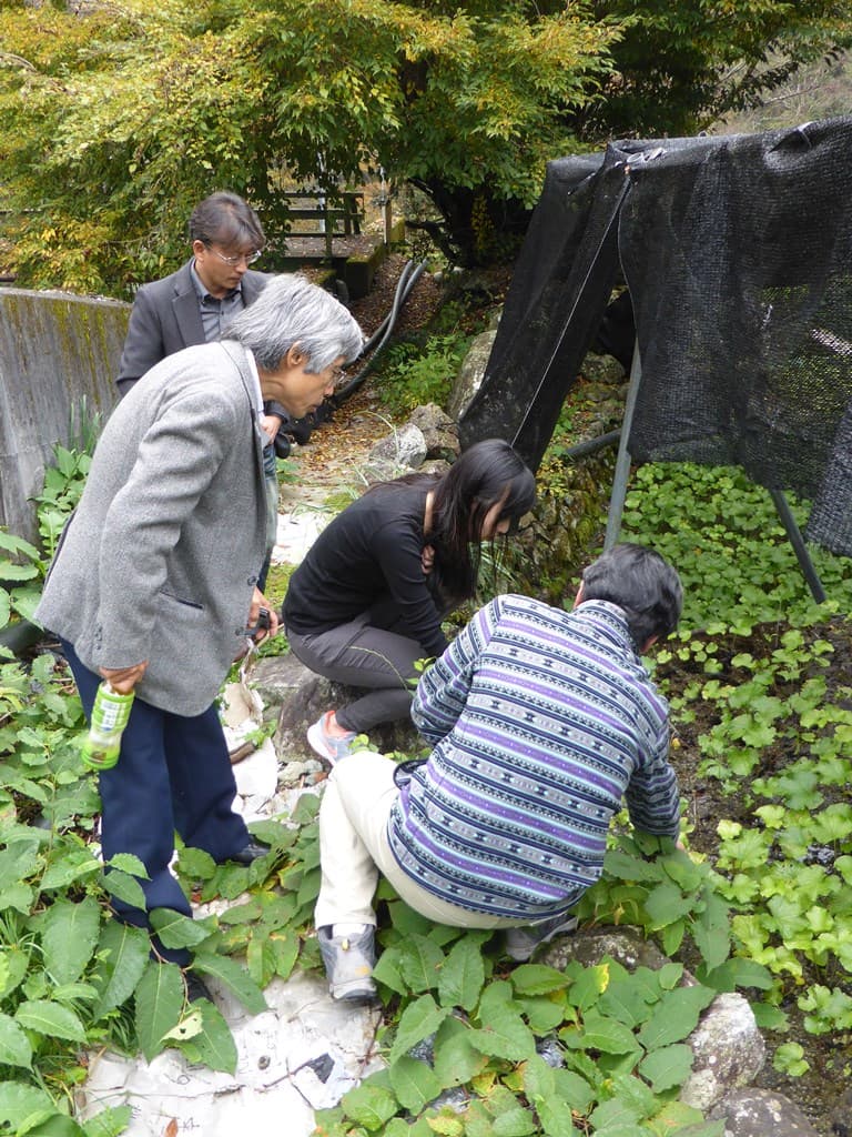 FABIans visit Shizouka University, Japan