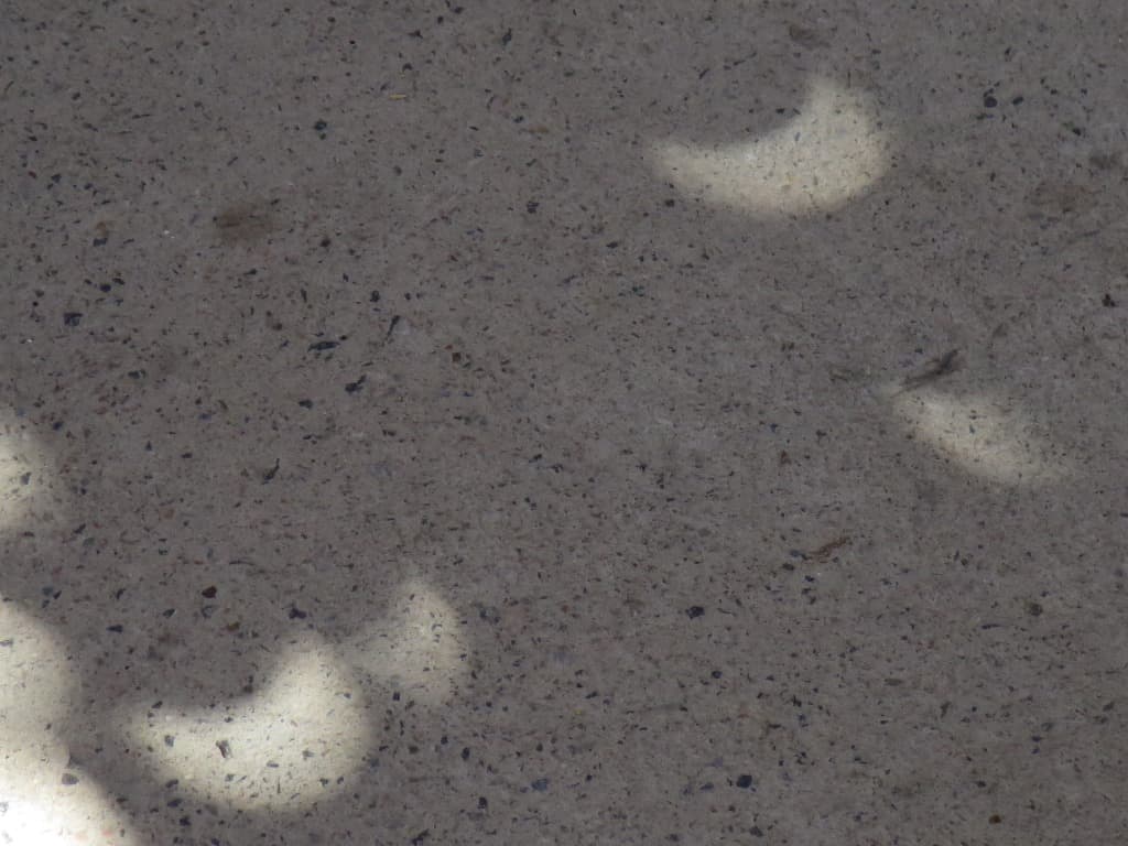 Trees reveal solar eclipse