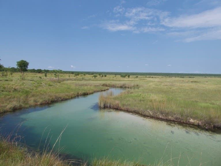 FABI researcher participates in National Geographic-Wild bird Trust project in Angola