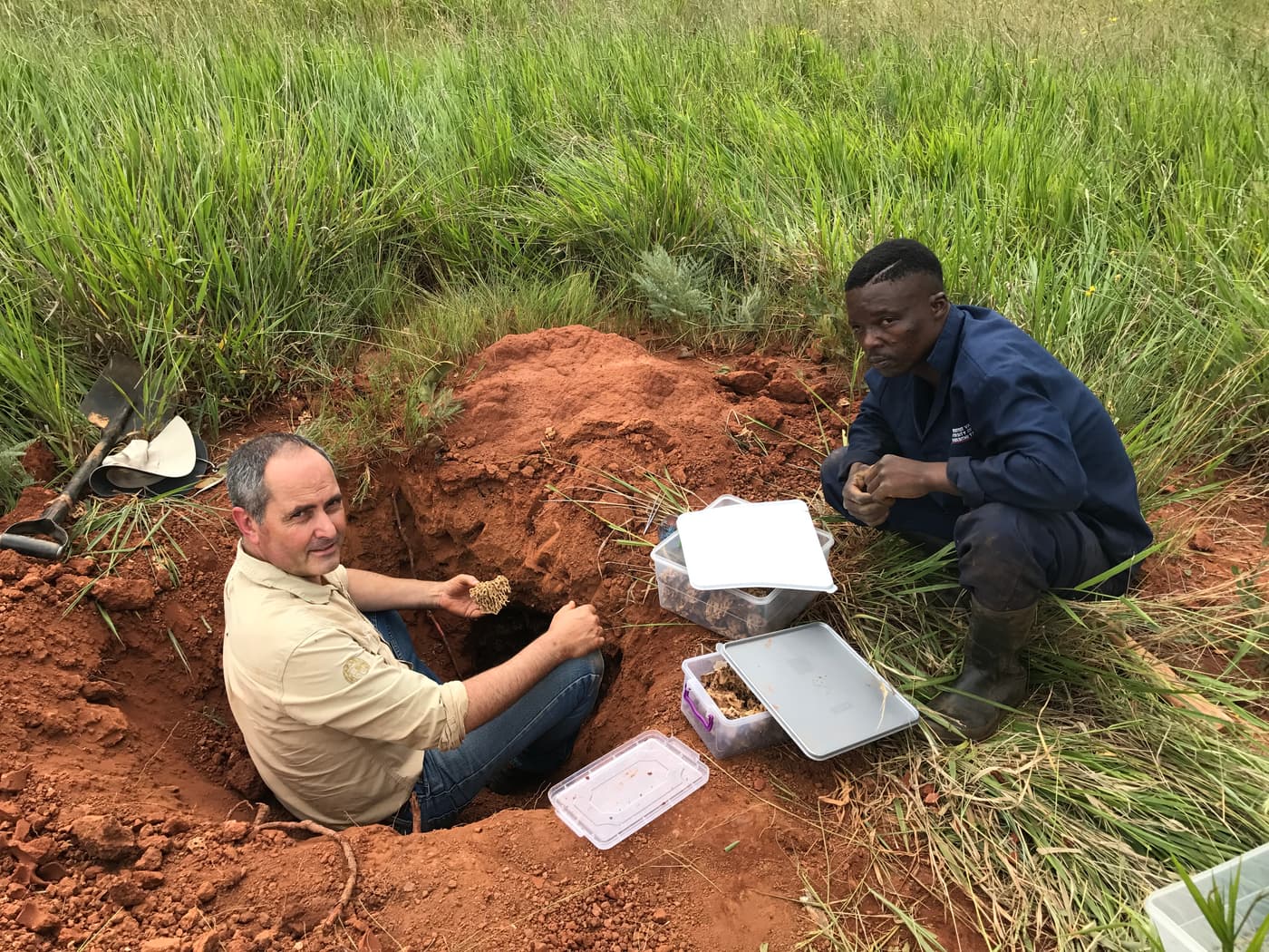 French collaborator visits FABI