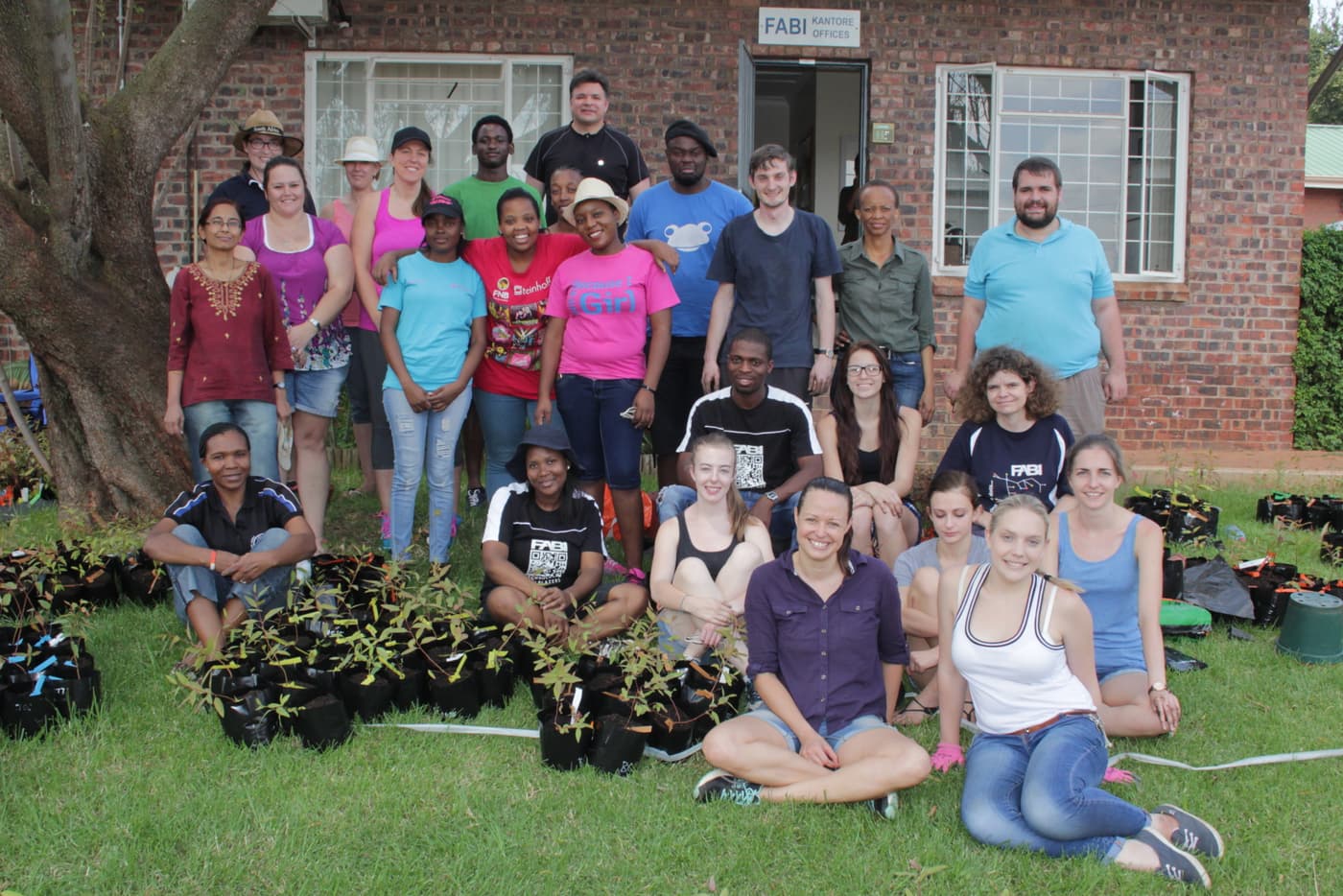 FMG tree planting day