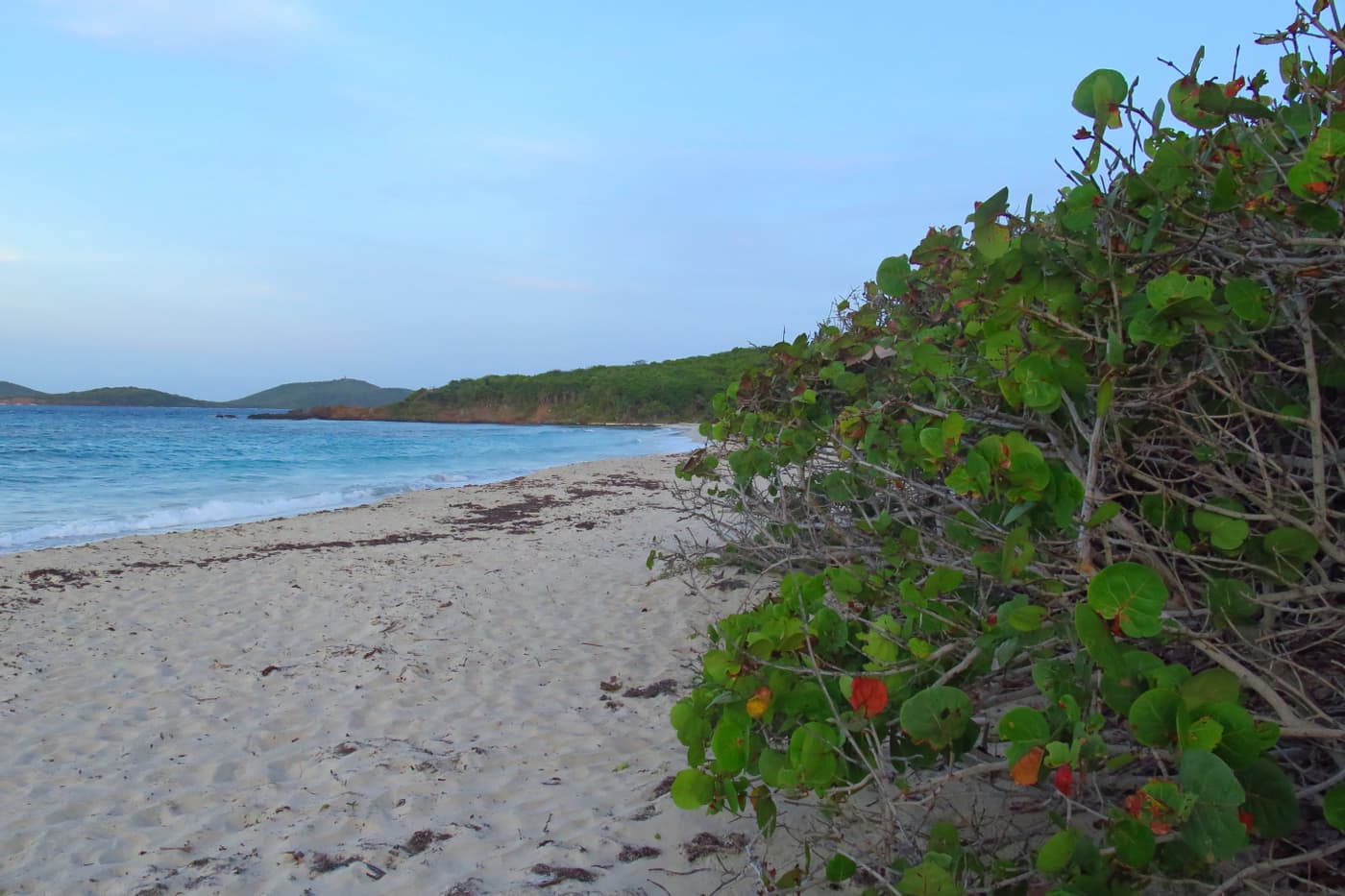 IUFRO Forest Landscape Restoration Workshop In Puerto Rico