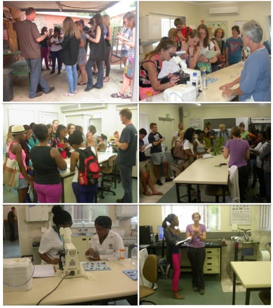Undergraduate Students Exposed to Biocontrol Research at FABI