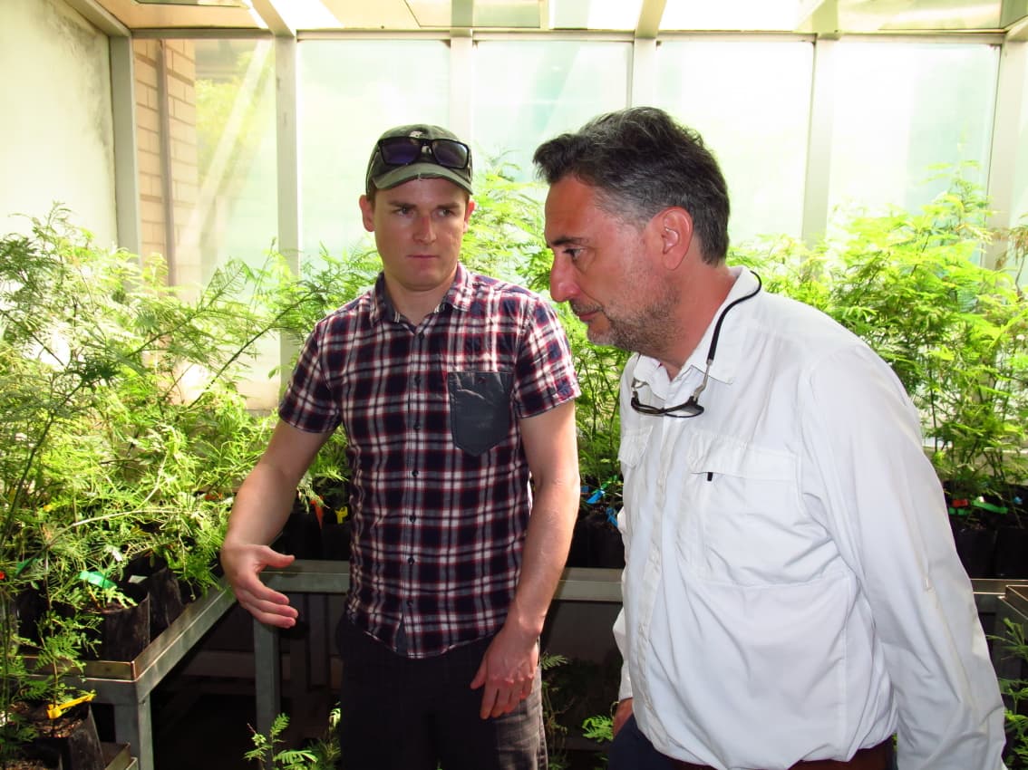 Italian forest pathologist visits FABI