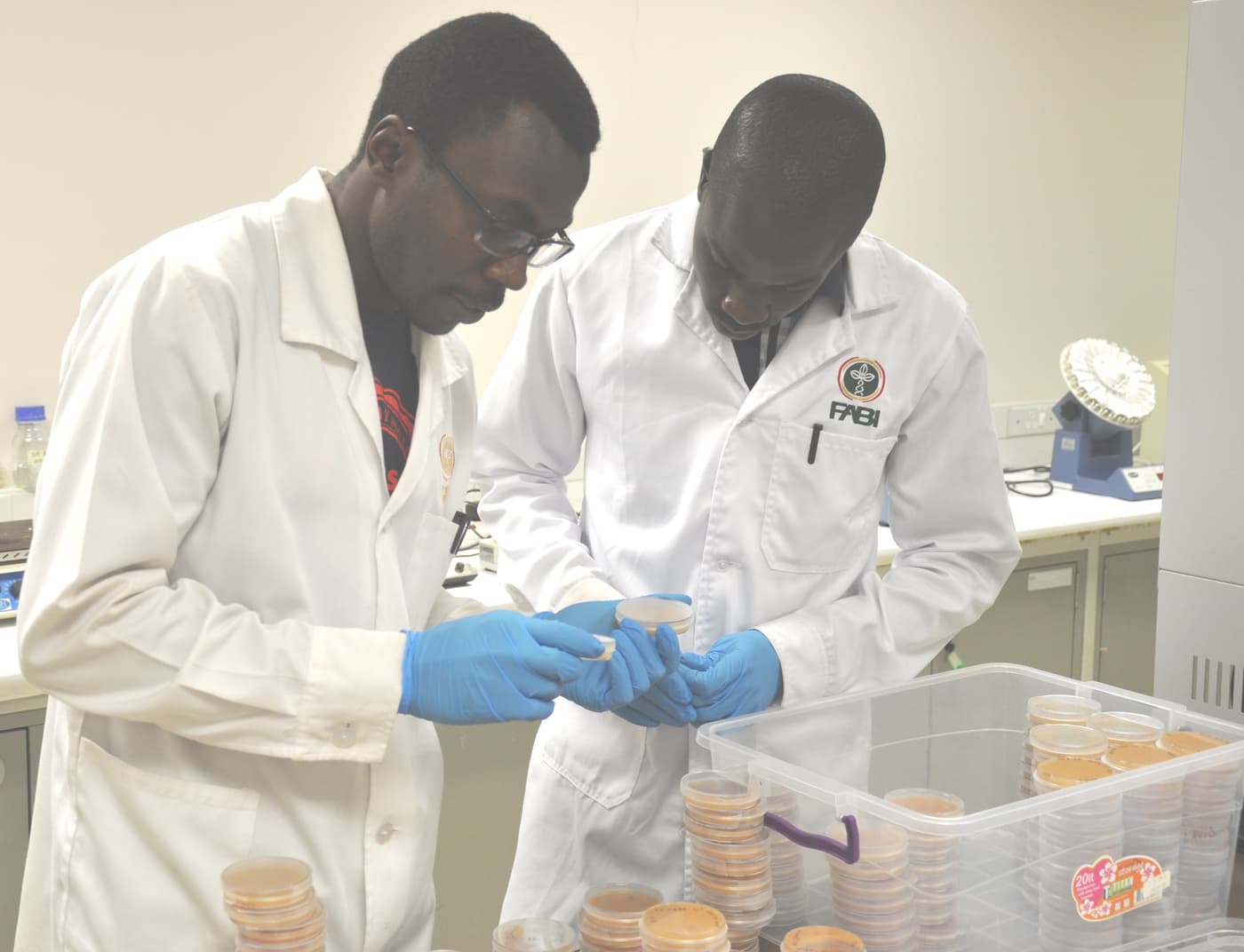 MSc student from Kenya on training visit to FABI