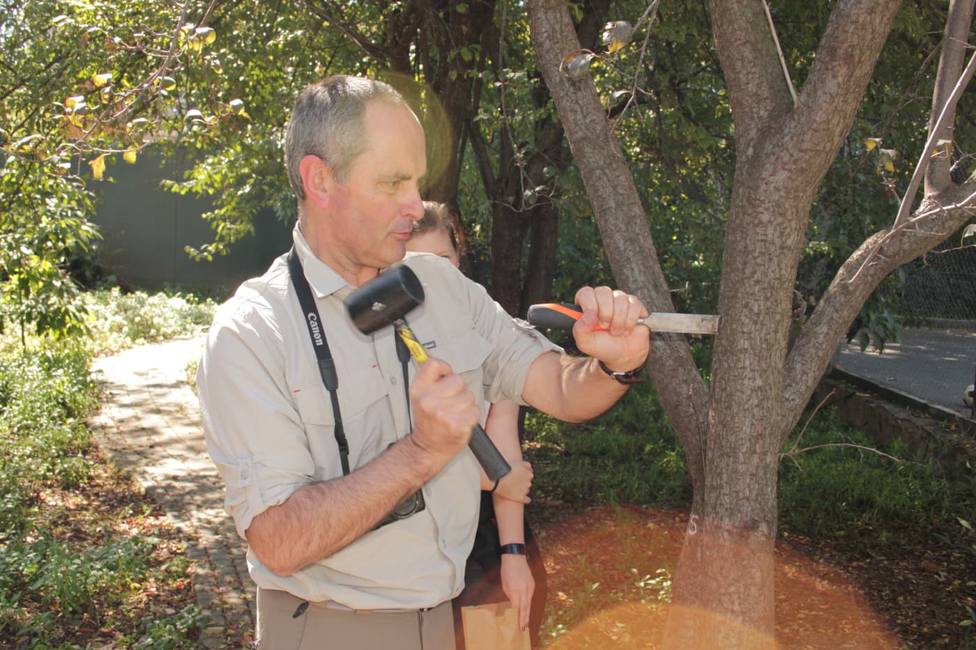 FABI Team surveys Johannesburg gardens for PSHB infestations