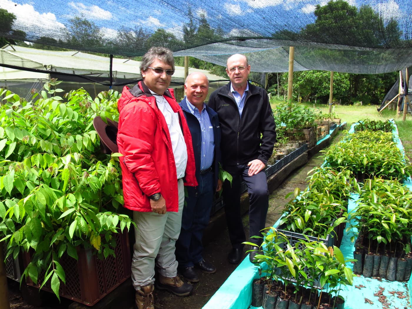 Meeting to develop a  national forestry Protection Program for Colombia