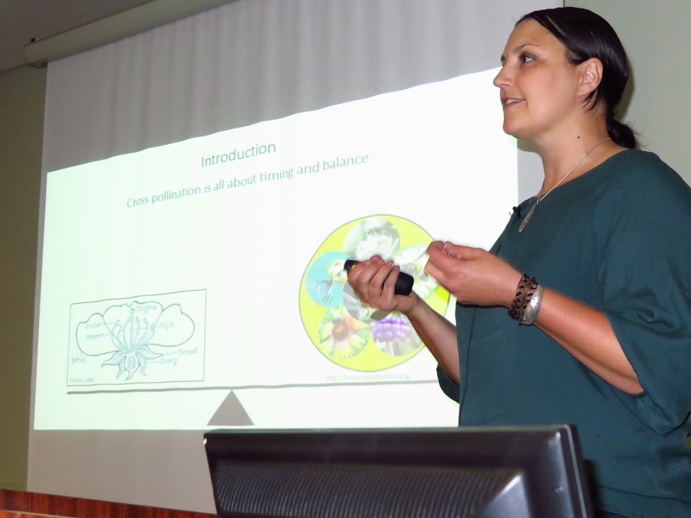 FABI hosts a “celebration of science” with a special seminar by three FABI PhD graduates