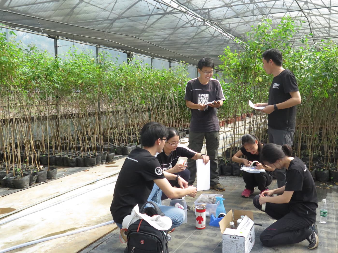 CERC-FABI team conducts major inoculation experiment