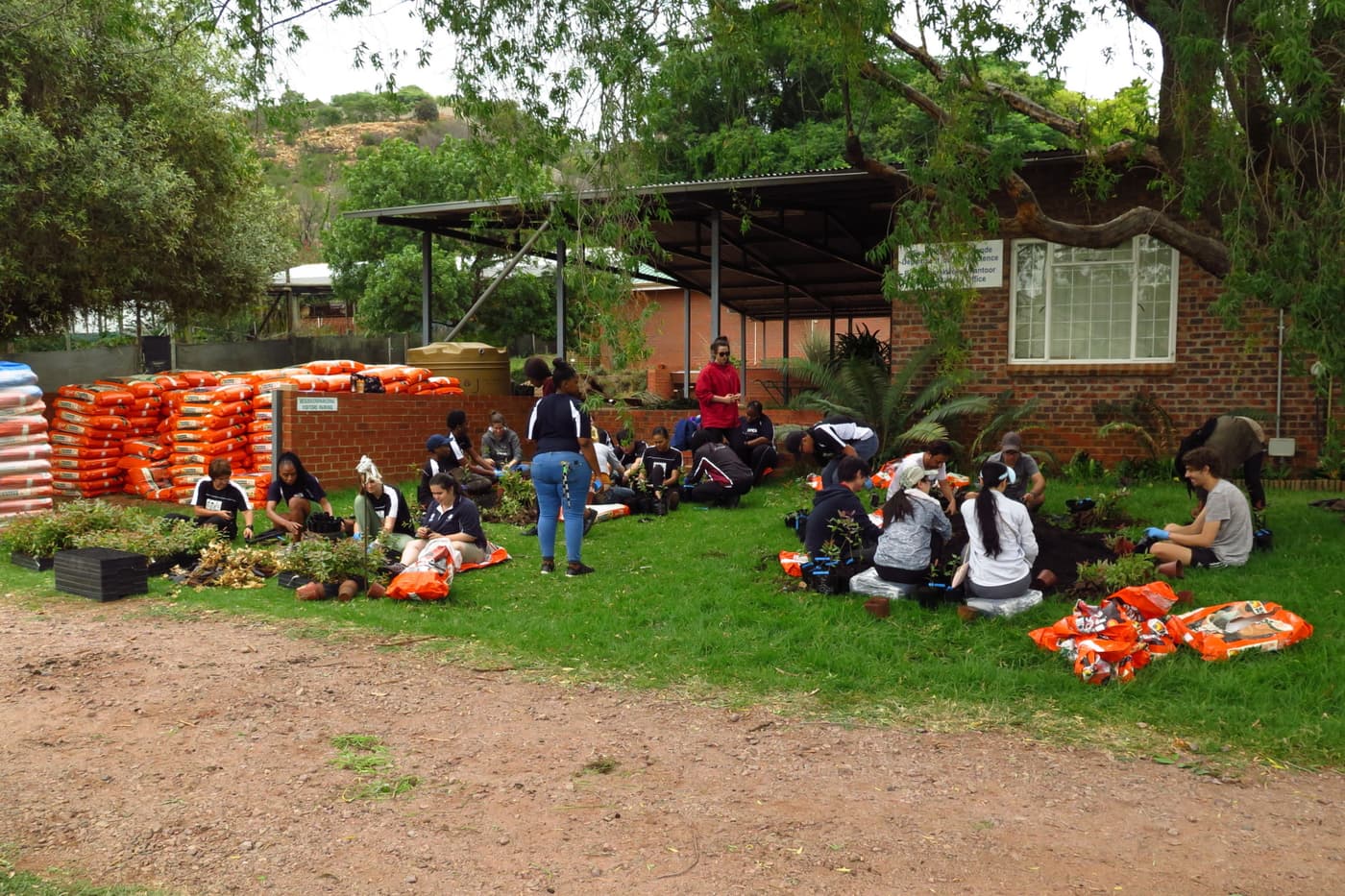 FABIans complete the last tree planting exercise of 2018