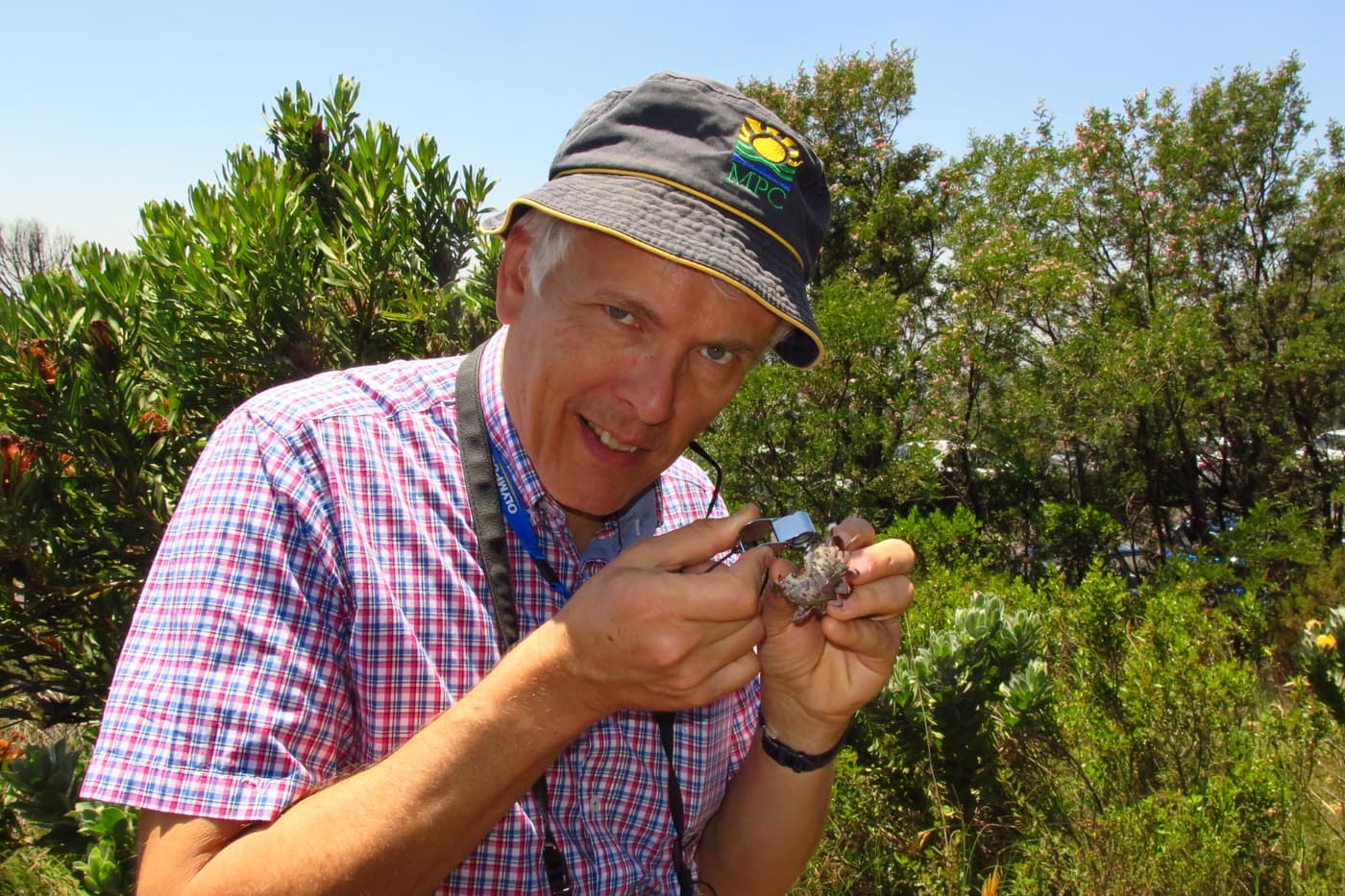 Prof André Drenth explores tree health issues in the Western Cape