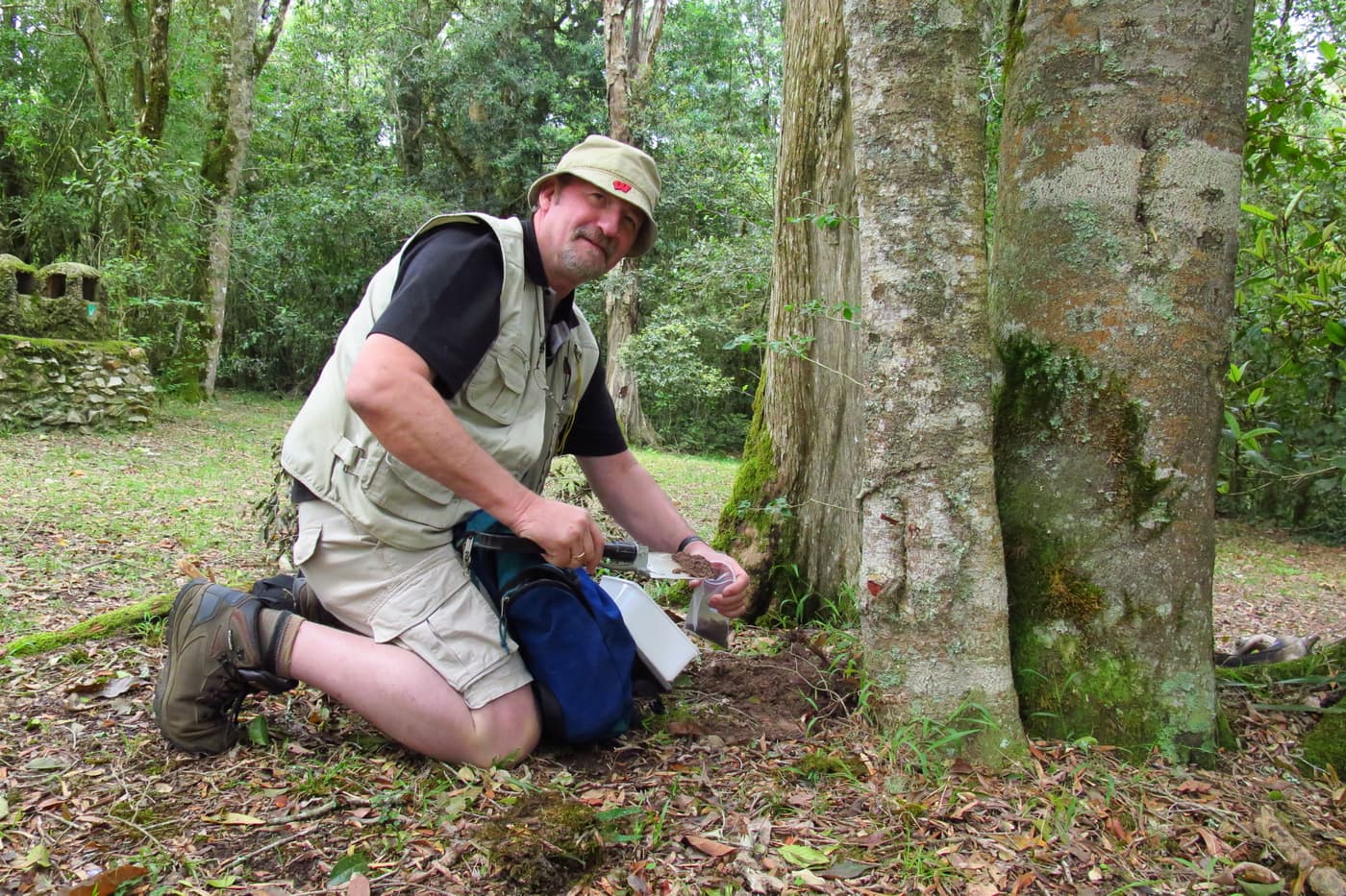 Expanding an understanding of South Africa’s mycodiversity