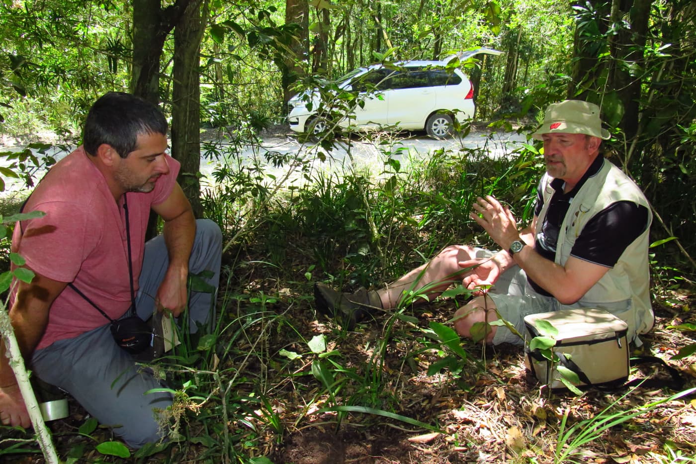 Expanding an understanding of South Africa’s mycodiversity