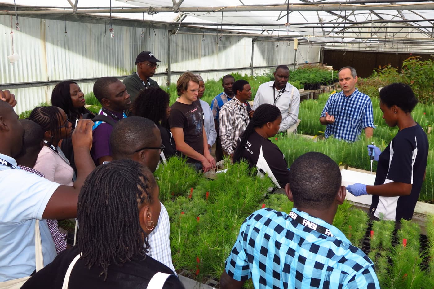 FABI and CABI jointly host the first Polyphagous Shot Hole Borer Workshop in Africa