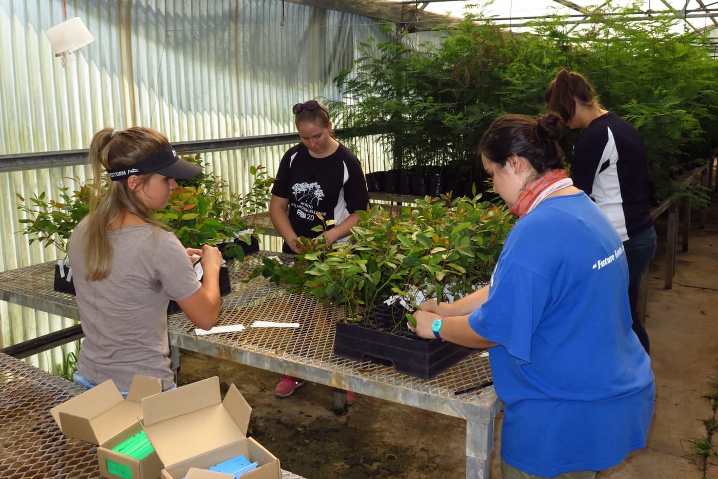 FABIans flexed their green fingers at 2019’s first tree planting session