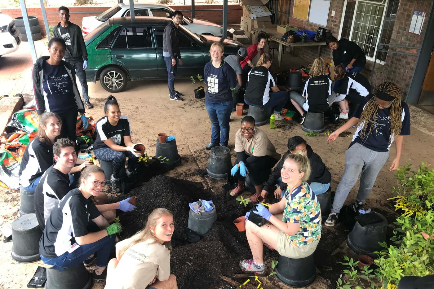 Tree Planting goes on despite wet conditions