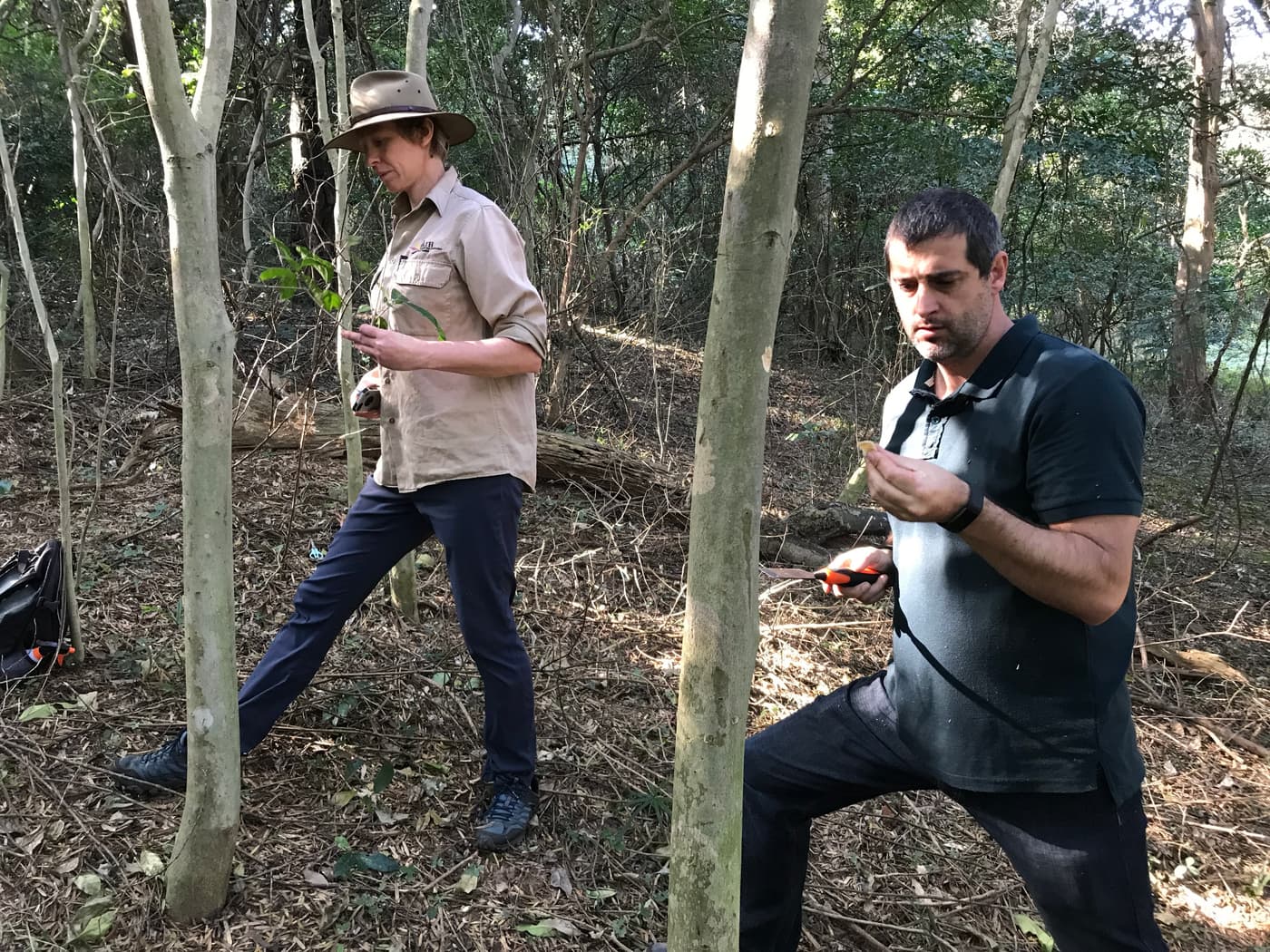 FABIans in the news: Two articles in Wood Southern Africa & Timber Times highlight the work done by 