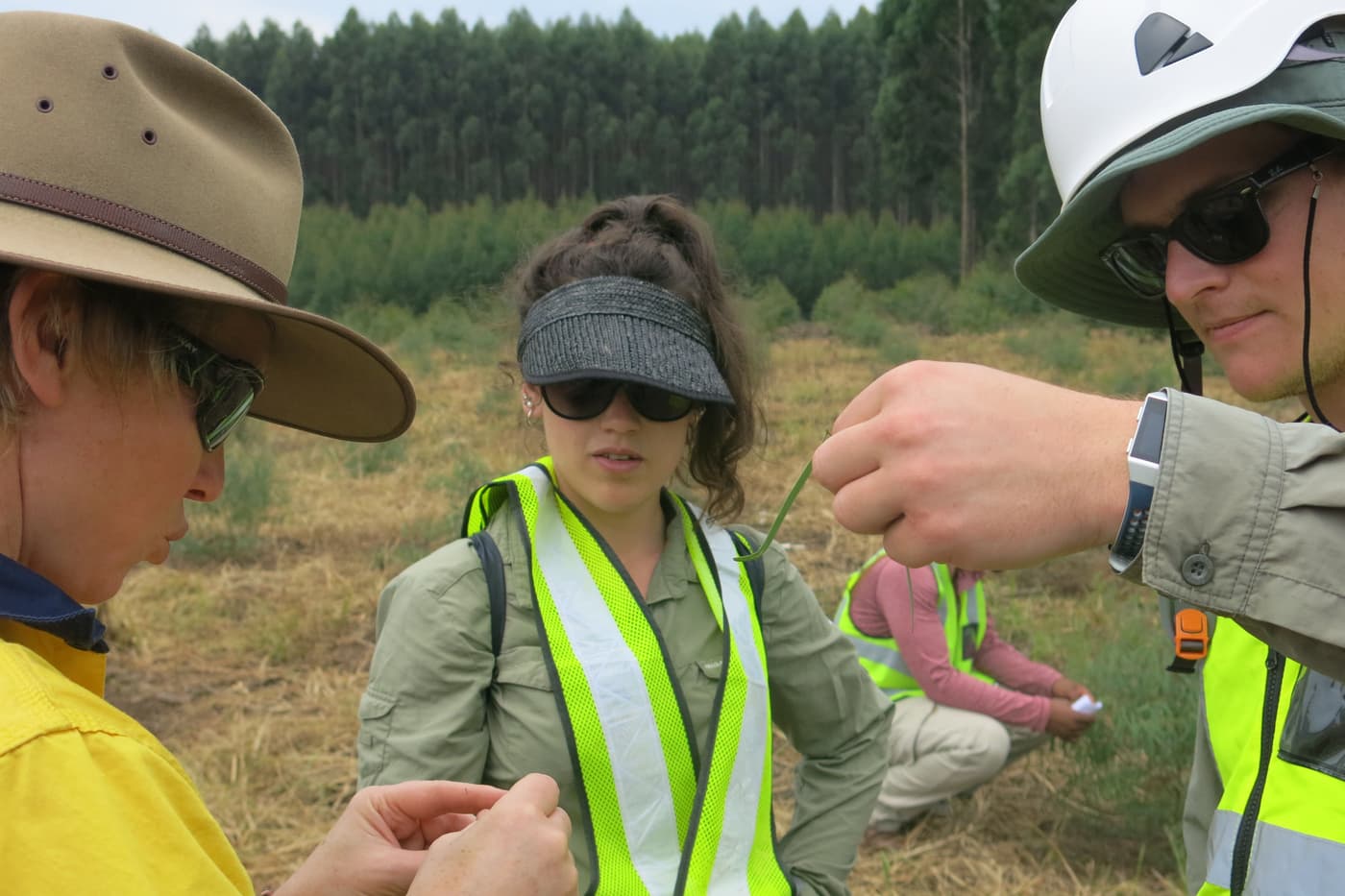 Members of the TPCP Diagnostic Clinic learn more about forestry in Mpumalanga and KZN during their a