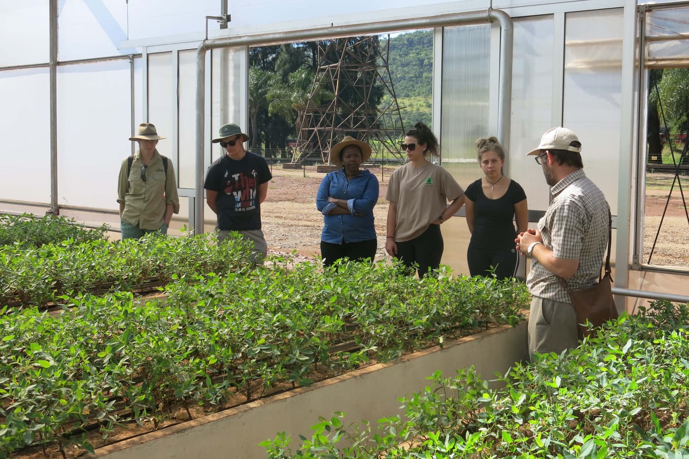 Members of the TPCP Diagnostic Clinic learn more about forestry in Mpumalanga and KZN during their annual training trip